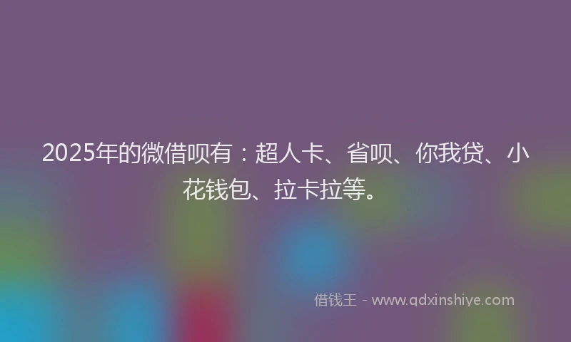 2025年的微借呗有：超人卡、省呗、你我贷、小花钱包、拉卡拉等。
