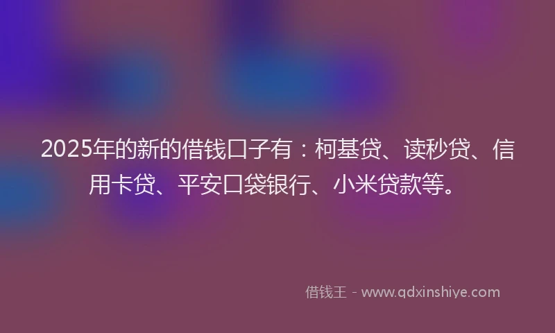 2025年的新的借钱口子有：柯基贷、读秒贷、信用卡贷、平安口袋银行、小米贷款等。