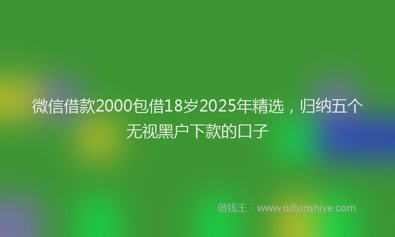 微信借款2000包借18岁2025年精选，归纳五个无视黑户下款的口子