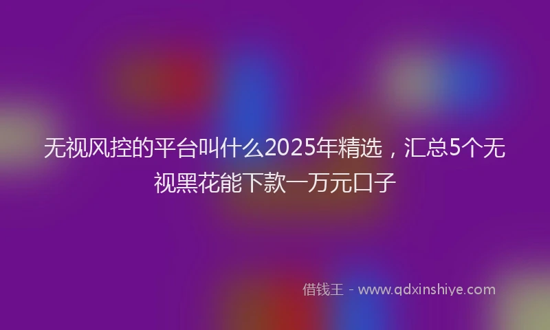 无视风控的平台叫什么2025年精选，汇总5个无视黑花能下款一万元口子