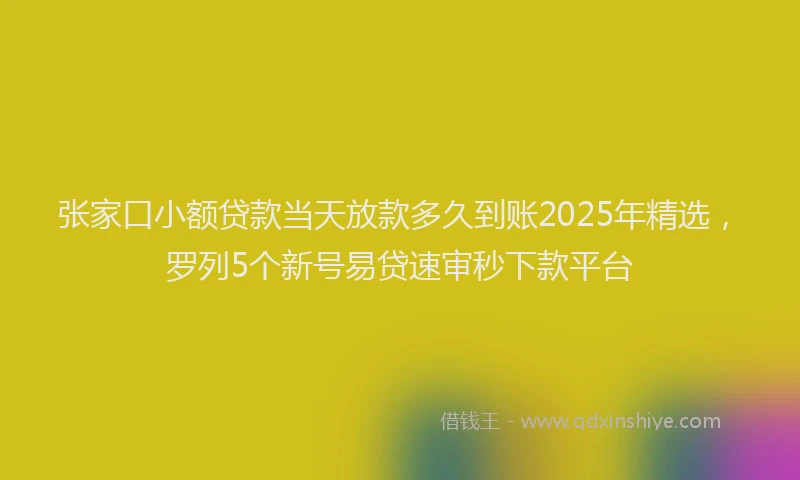 张家口小额贷款当天放款多久到账2025年精选，罗列5个新号易贷速审秒下款平台