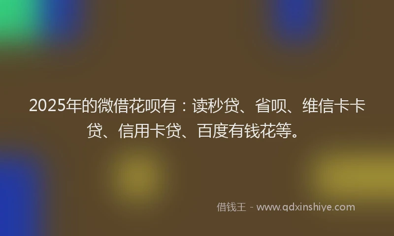 2025年的微借花呗有：读秒贷、省呗、维信卡卡贷、信用卡贷、百度有钱花等。