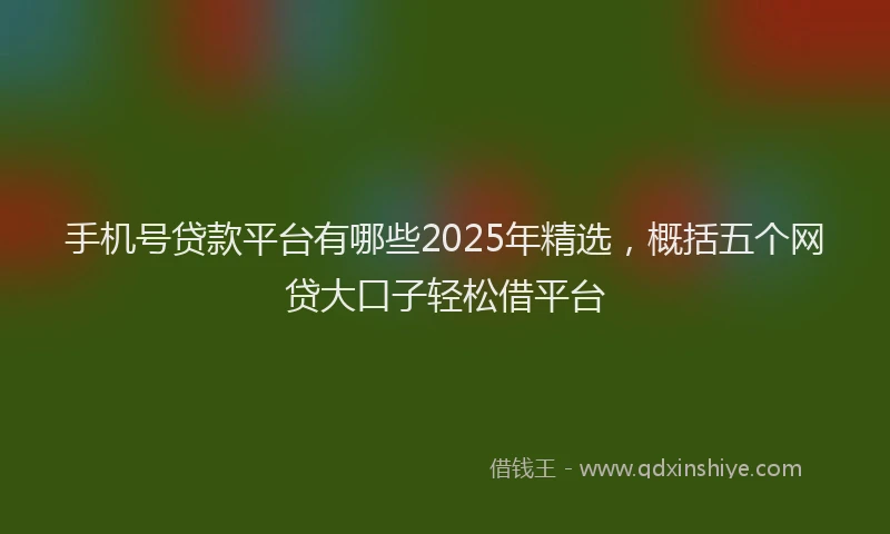 手机号贷款平台有哪些2025年精选，概括五个网贷大口子轻松借平台