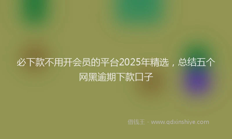 必下款不用开会员的平台2025年精选，总结五个网黑逾期下款口子