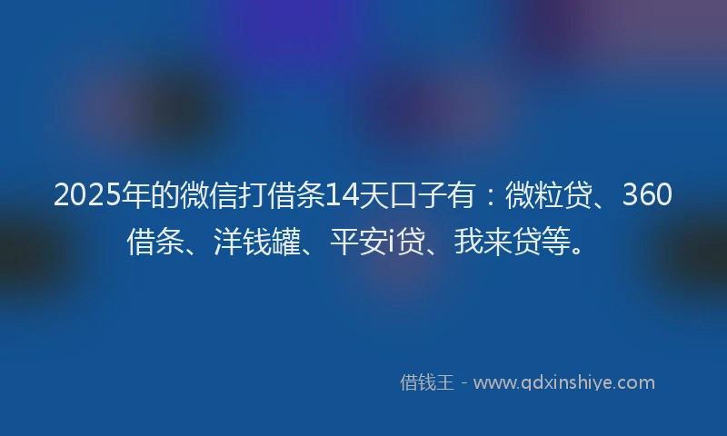 2025年的微信打借条14天口子有：微粒贷、360借条、洋钱罐、平安i贷、我来贷等。