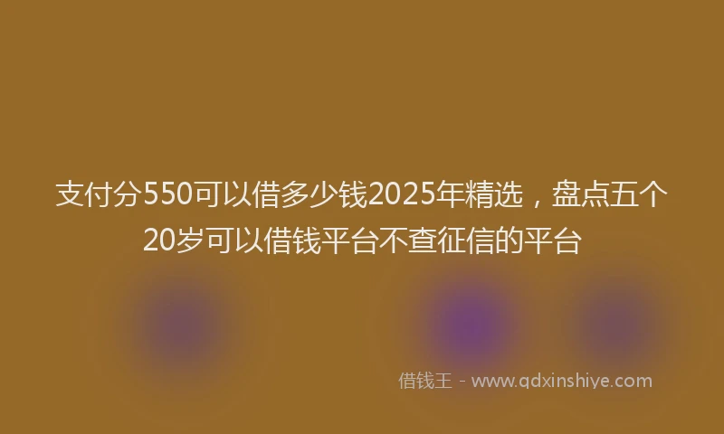 支付分550可以借多少钱2025年精选，盘点五个20岁可以借钱平台不查征信的平台