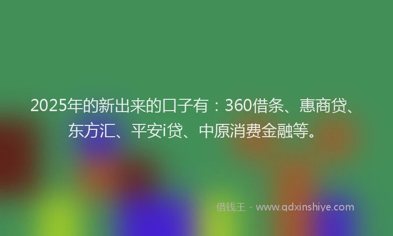 2025年的新出来的口子有：360借条、惠商贷、东方汇、平安i贷、中原消费金融等。