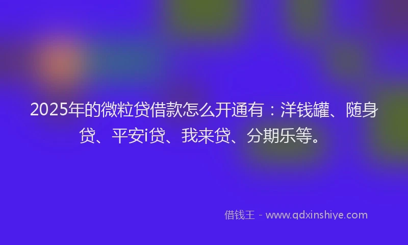 2025年的微粒贷借款怎么开通有：洋钱罐、随身贷、平安i贷、我来贷、分期乐等。