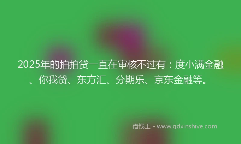 2025年的拍拍贷一直在审核不过有：度小满金融、你我贷、东方汇、分期乐、京东金融等。