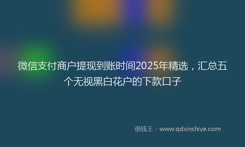 微信支付商户提现到账时间2025年精选，汇总五个无视黑白花户的下款口子
