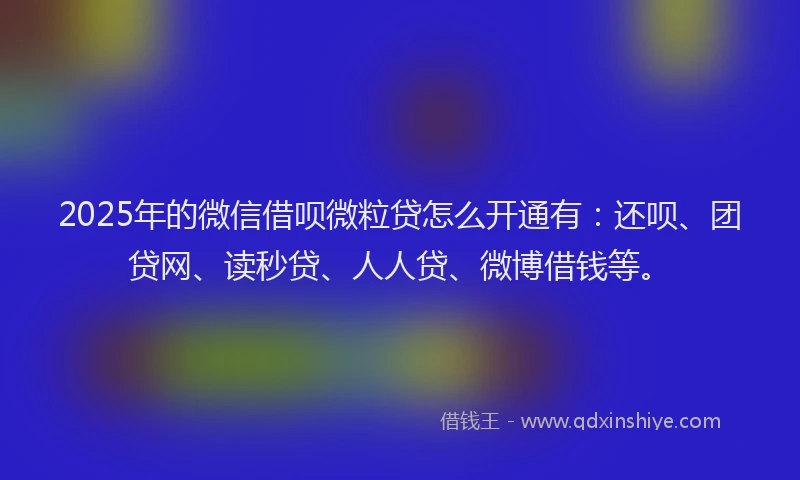 2025年的微信借呗微粒贷怎么开通有：还呗、团贷网、读秒贷、人人贷、微博借钱等。
