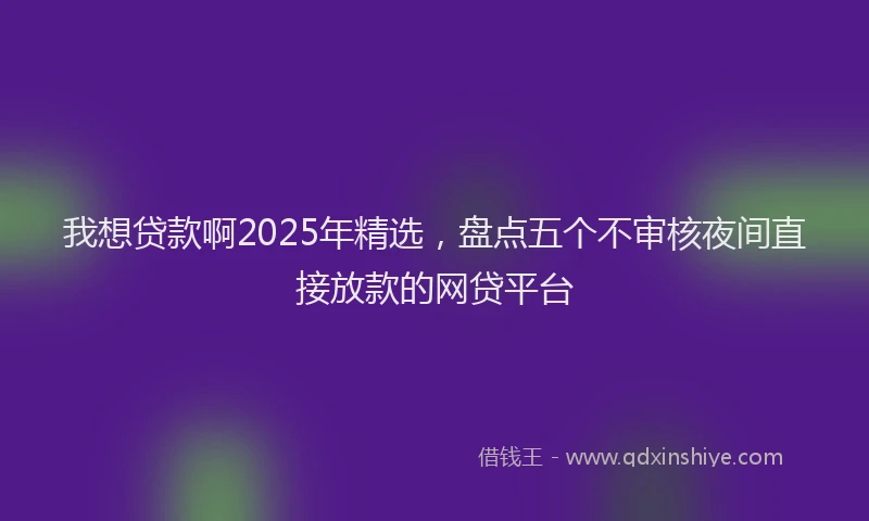 我想贷款啊2025年精选，盘点五个不审核夜间直接放款的网贷平台