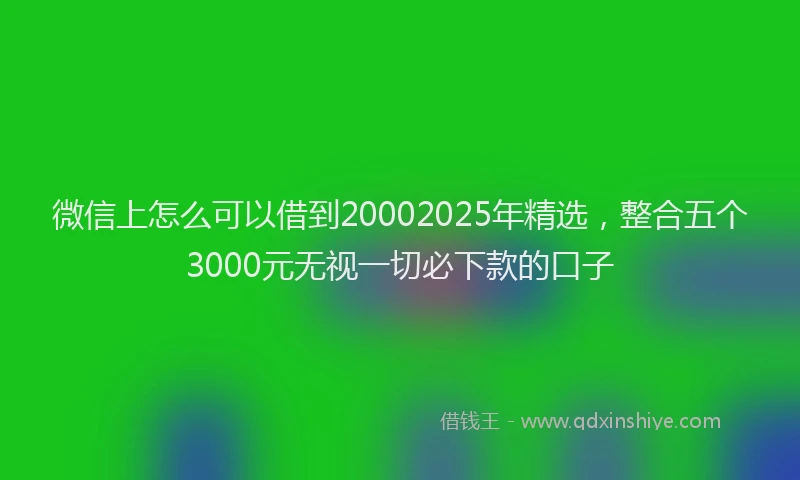 微信上怎么可以借到20002025年精选，整合五个3000元无视一切必下款的口子