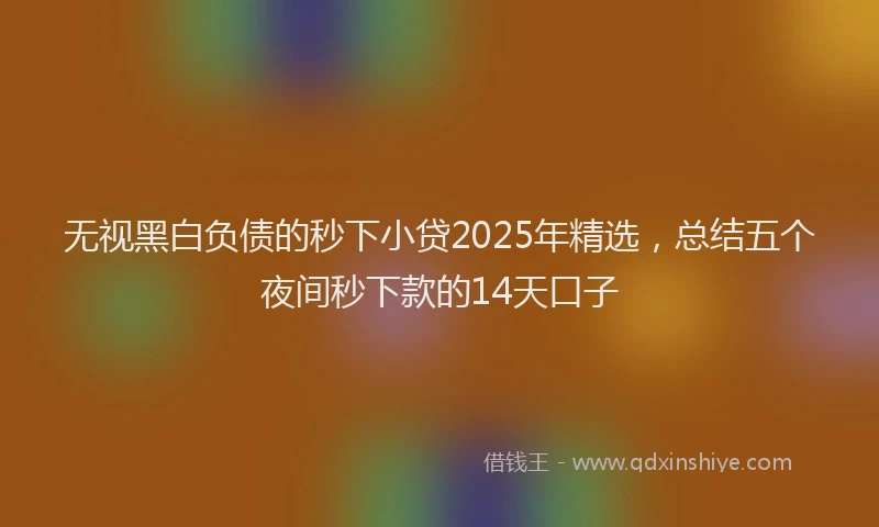 无视黑白负债的秒下小贷2025年精选，总结五个夜间秒下款的14天口子