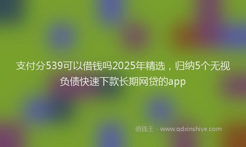 支付分539可以借钱吗2025年精选，归纳5个无视负债快速下款长期网贷的app