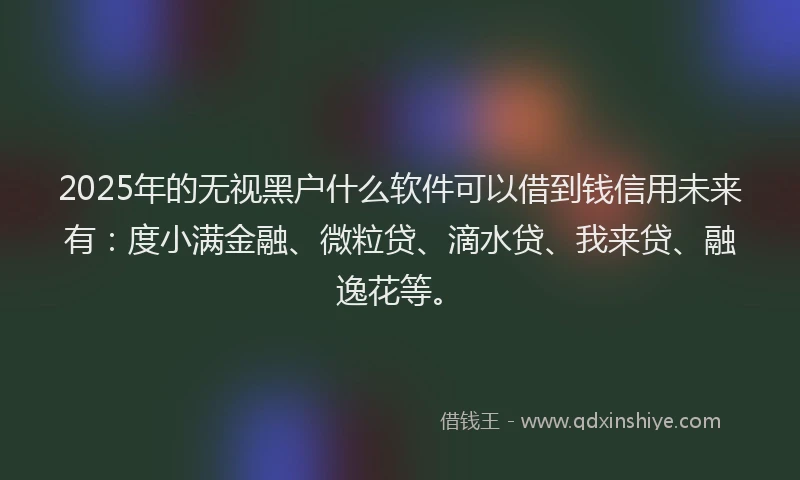 2025年的无视黑户什么软件可以借到钱信用未来有：度小满金融、微粒贷、滴水贷、我来贷、融逸花等。