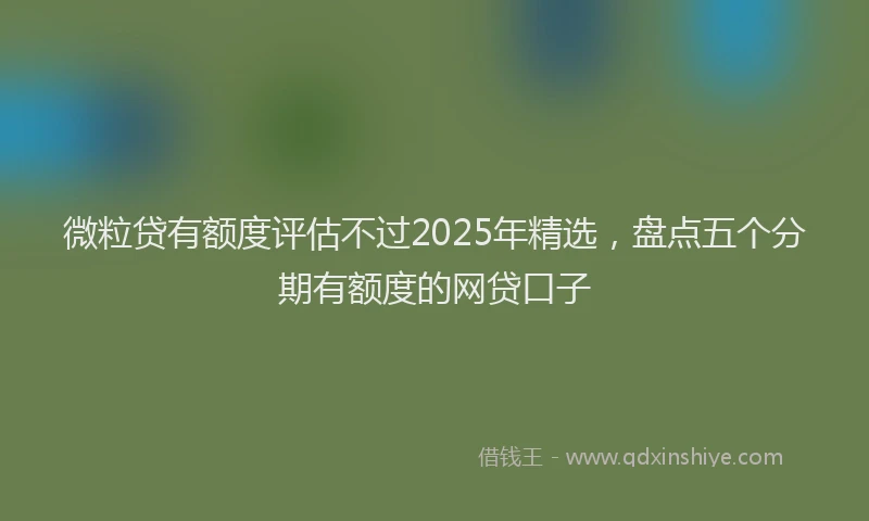 微粒贷有额度评估不过2025年精选，盘点五个分期有额度的网贷口子