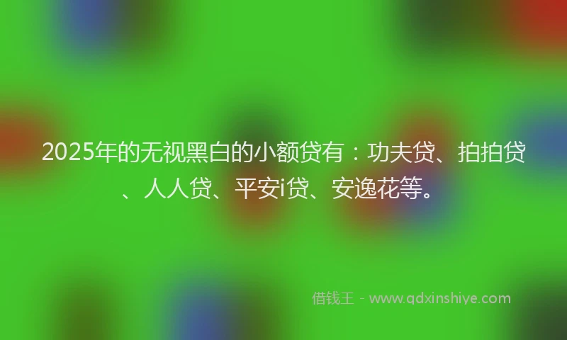 2025年的无视黑白的小额贷有：功夫贷、拍拍贷、人人贷、平安i贷、安逸花等。