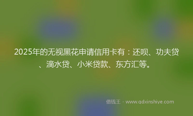 2025年的无视黑花申请信用卡有：还呗、功夫贷、滴水贷、小米贷款、东方汇等。