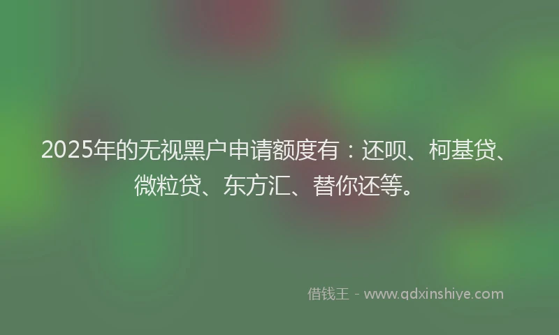 2025年的无视黑户申请额度有：还呗、柯基贷、微粒贷、东方汇、替你还等。