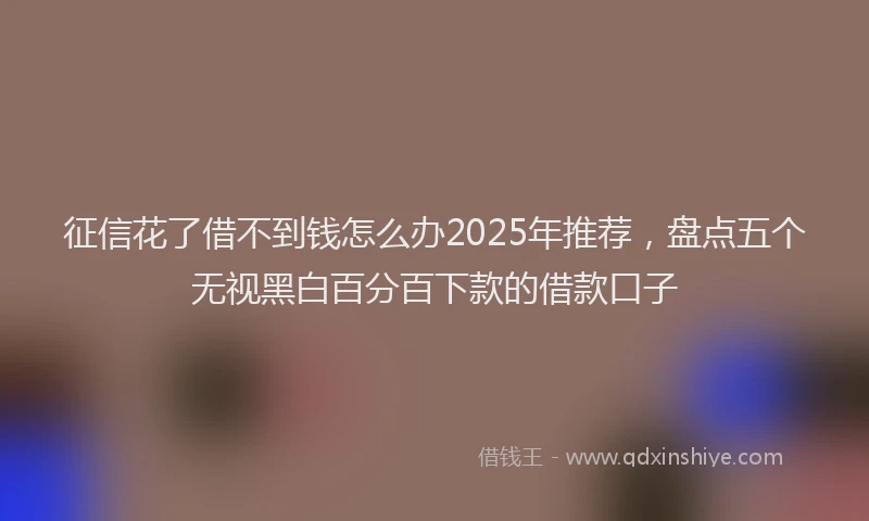 征信花了借不到钱怎么办2025年推荐，盘点五个无视黑白百分百下款的借款口子