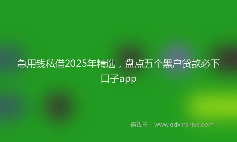 急用钱私借2025年精选，盘点五个黑户贷款必下口子app
