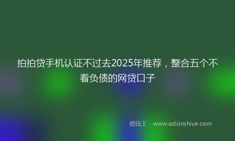 拍拍贷手机认证不过去2025年推荐，整合五个不看负债的网贷口子