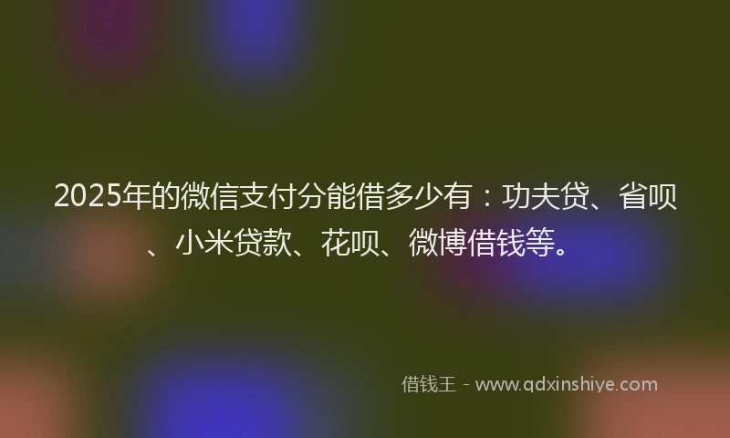 2025年的微信支付分能借多少有：功夫贷、省呗、小米贷款、花呗、微博借钱等。