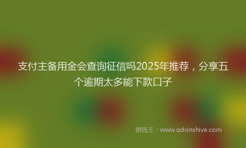 支付主备用金会查询征信吗2025年推荐，分享五个逾期太多能下款口子