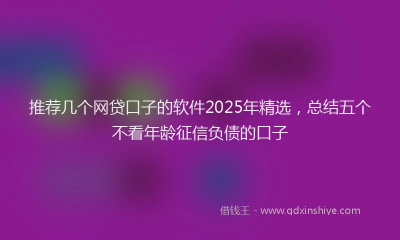 推荐几个网贷口子的软件2025年精选，总结五个不看年龄征信负债的口子