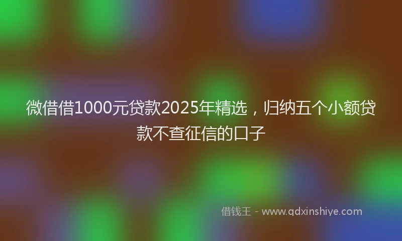 微借借1000元贷款2025年精选，归纳五个小额贷款不查征信的口子
