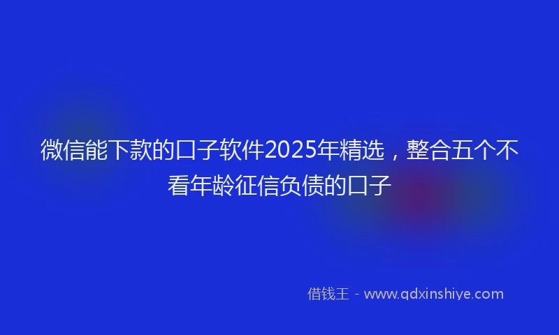 微信能下款的口子软件2025年精选，整合五个不看年龄征信负债的口子