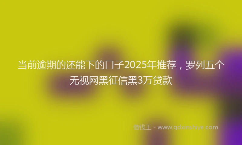 当前逾期的还能下的口子2025年推荐，罗列五个无视网黑征信黑3万贷款