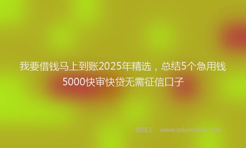 我要借钱马上到账2025年精选，总结5个急用钱5000快审快贷无需征信口子