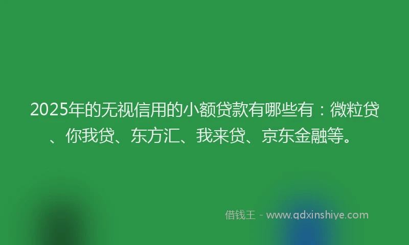 2025年的无视信用的小额贷款有哪些有：微粒贷、你我贷、东方汇、我来贷、京东金融等。