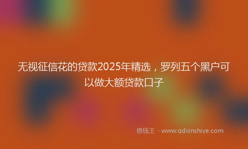 无视征信花的贷款2025年精选，罗列五个黑户可以做大额贷款口子