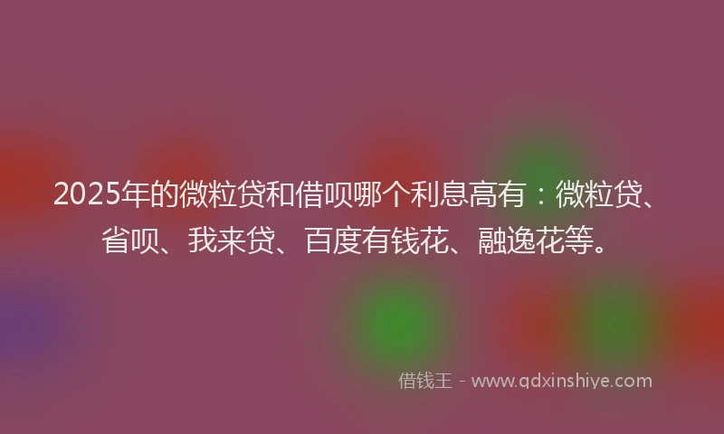 2025年的微粒贷和借呗哪个利息高有：微粒贷、省呗、我来贷、百度有钱花、融逸花等。