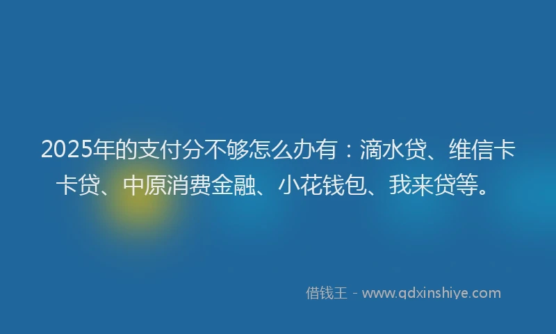 2025年的支付分不够怎么办有：滴水贷、维信卡卡贷、中原消费金融、小花钱包、我来贷等。
