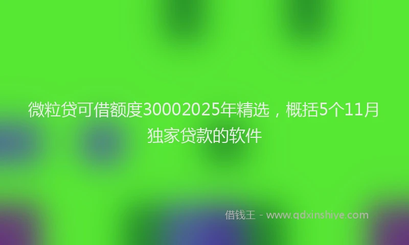 微粒贷可借额度30002025年精选，概括5个11月独家贷款的软件