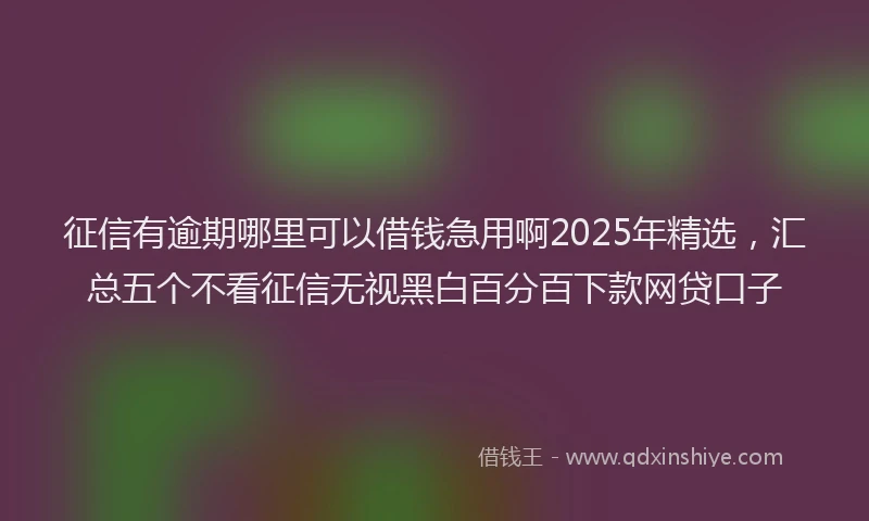 征信有逾期哪里可以借钱急用啊2025年精选，汇总五个不看征信无视黑白百分百下款网贷口子