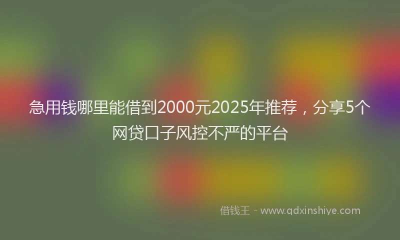 急用钱哪里能借到2000元2025年推荐，分享5个网贷口子风控不严的平台