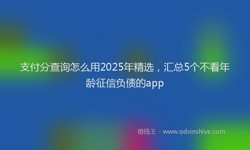 支付分查询怎么用2025年精选，汇总5个不看年龄征信负债的app