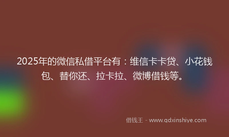2025年的微信私借平台有：维信卡卡贷、小花钱包、替你还、拉卡拉、微博借钱等。