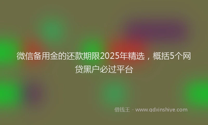 微信备用金的还款期限2025年精选，概括5个网贷黑户必过平台