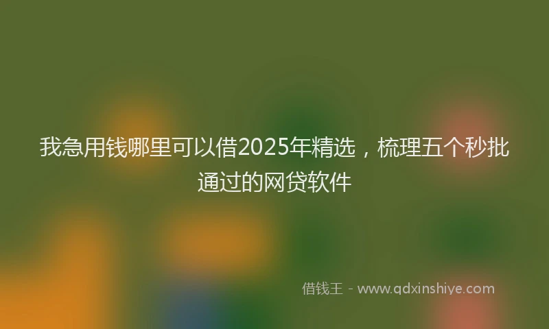 我急用钱哪里可以借2025年精选，梳理五个秒批通过的网贷软件