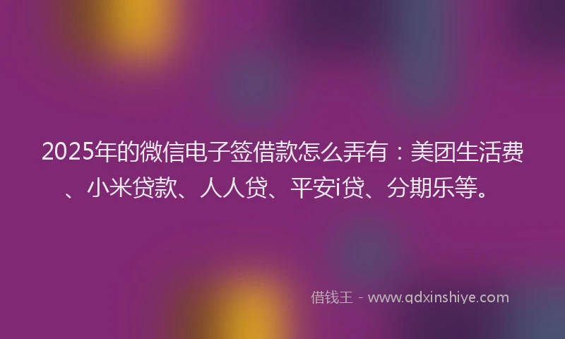 2025年的微信电子签借款怎么弄有：美团生活费、小米贷款、人人贷、平安i贷、分期乐等。