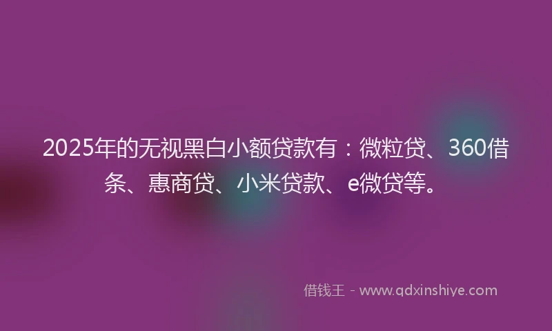 2025年的无视黑白小额贷款有：微粒贷、360借条、惠商贷、小米贷款、e微贷等。