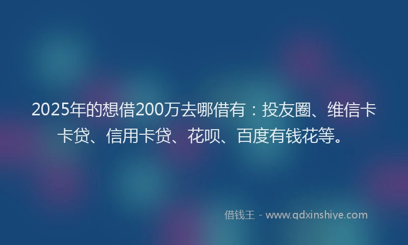 2025年的想借200万去哪借有：投友圈、维信卡卡贷、信用卡贷、花呗、百度有钱花等。