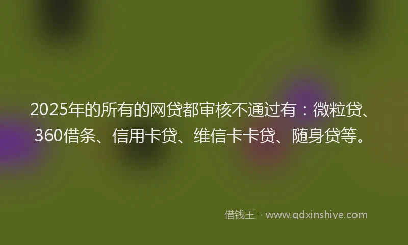 2025年的所有的网贷都审核不通过有：微粒贷、360借条、信用卡贷、维信卡卡贷、随身贷等。
