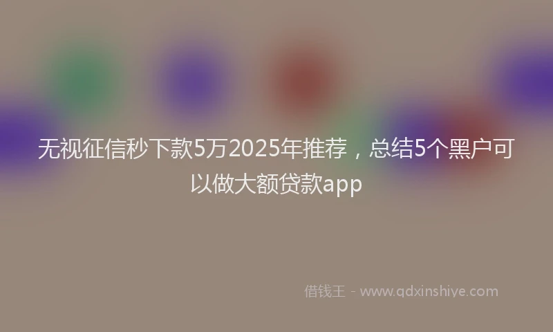 无视征信秒下款5万2025年推荐，总结5个黑户可以做大额贷款app